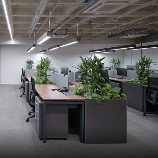 O Design Biofílico como tendência