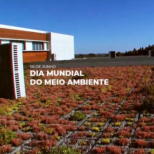 Dia mundial do meio ambiente